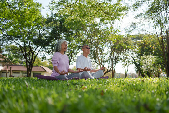Peaceful elderly Asian couple practicing yoga and meditation in green park. This calm senior pair relaxing together outdoors on sunny day
