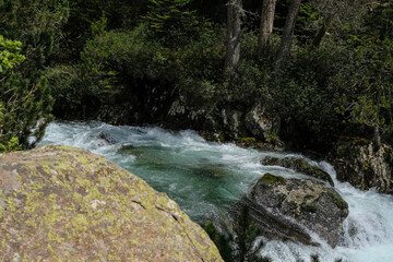Mountain river. Wilderness hydrology, erosion, and vegetation. Unregulated river systems. Copy space.