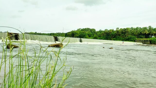 Serene River Landscape with Check Dam, Coconut Trees, and Grassy Riverside in Palakkad, Kerala