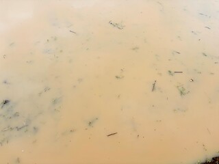Abstract view of muddy, brown water with small organic debris floating on the surface, resembling a texture or background.