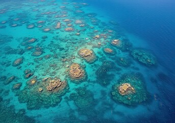 Fototapeta premium Aerial view captures intricate formations of coral reef structures beneath clear tropical waters