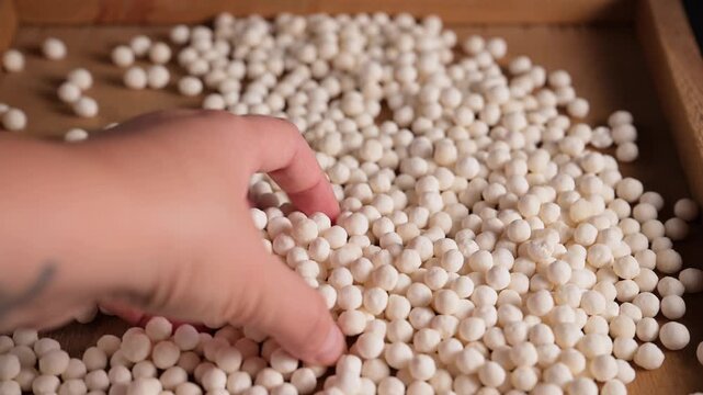 Hand touching and sorting white dry tapioca pearls. Raw cassava starch balls used for bubble tea and desserts. Organic gluten free ingredient made from cassava root, used in healthy vegan cooking.