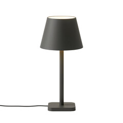 Obraz premium Elegant illumination: capturing the serene charm of a contemporary table lamp in noir tones
