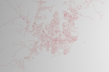 Map of the streets of Bissau (Guinea-Bissau) made with red lines on white paper. 3d render, illustration
