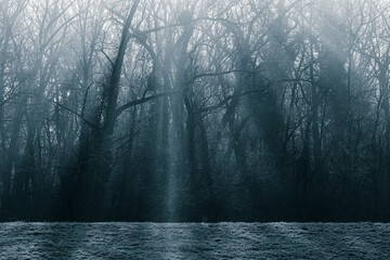 oniryczne splątane gałęzie drzew i korzenie w dziwnym lesie © Henryk Niestrój