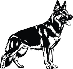 German shepherd dog vector illustration black and white pet animal art eps silhouette
