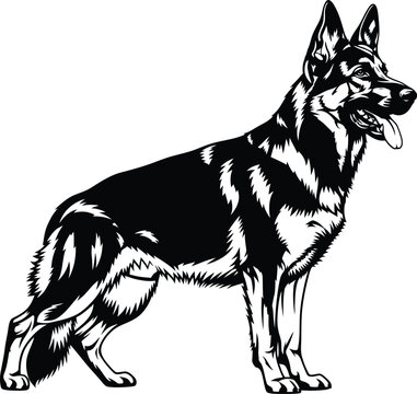 German shepherd dog vector illustration black and white pet animal art eps silhouette