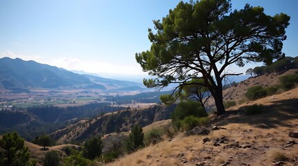 Obraz premium A lifelike, ultra-detailed photograph of a serene travel landscape, highlighting the subtle nuances of light and shadow