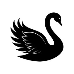 Obraz premium black swan vector