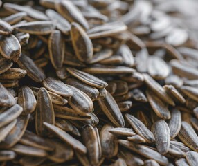 Sunflower Seeds Close-Up – Organic Texture Background for Food Design