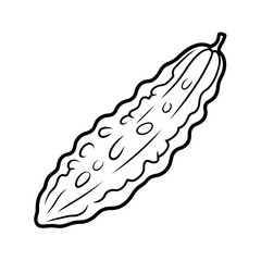 Bitter Gourd Coloring Page – Printable Vegetable Illustration for Kids