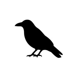 Obraz premium Silhouette of a crow isolated on transparent background, perched and facing left in profile