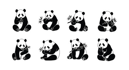 Pandas enjoying bamboo in various playful poses © Nayem