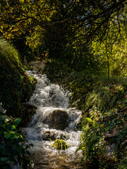 Autumnal landscape of a dirt road