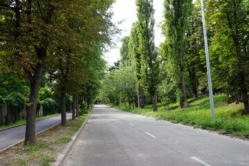 road in the park