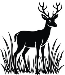 A lone deer (stag) silhouette standing still in a field of tall grass.