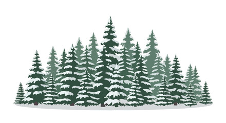 Fototapeta premium Winter Evergreen Forest Illustration A Dense Cluster of Snowy Spruce and Fir Trees in an 