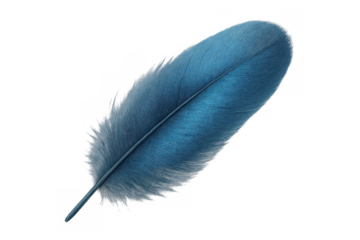 Blue feather with soft down texture floating, lightweight and isolated on a transparent background