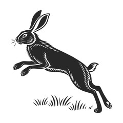 vector illustration of a rabbit