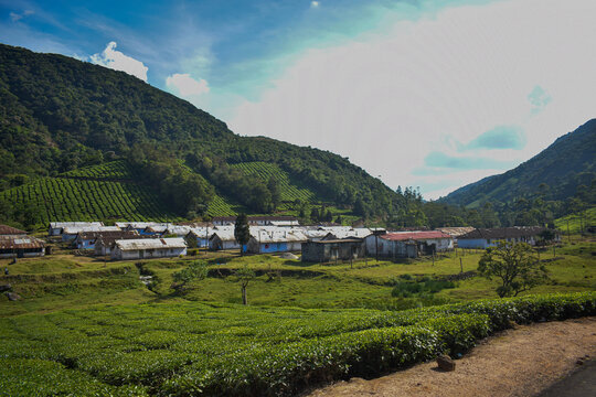 The route to Meghamalai, also known as the High Wavy Mountains, is a hill station in Tamil Nadu's Theni district, located in the Western Ghats