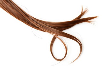 Single brown hair strand, isolated on pure white background,  straight,  natural