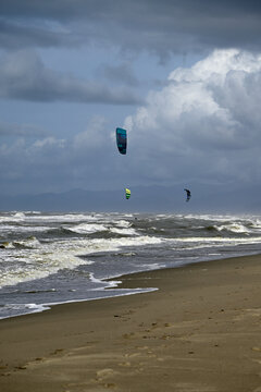 Kitesurfing at italian beach. Some kitesurfers at Torre del Lago beach, tuscany, italy. Some are junping out of the water. Mediterraenean Sea.