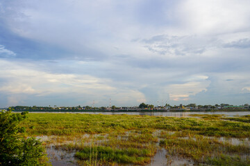 Flooded grassland at sunset with mist over Mekong River, Vientiane, Laos