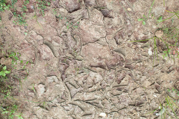 A close-up of cracked ground where water has evaporated, leaving behind natural patterns and textures in the dried mud.