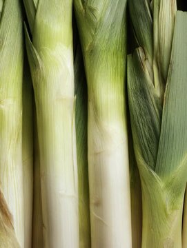 Fresh leeks displayed at a local market, highlighting their vibrant colors and textures