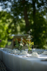 Outdoor Table Setting with Flowers in Summer Light