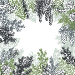 Hand-drawn branches and cones of coniferous trees. Christmas plants.  Vector background. Sketch  illustration.  
