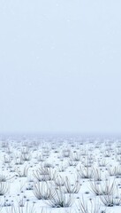 Fototapeta premium Soft snowfall drifts over a vast, empty meadow, creating a dreamy, ethereal atmosphere, outdoor, vast