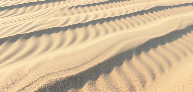 Wind-sculpted sand, ripples etched deeply by gusts, showing texture and undulation, shadow, desert
