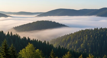 Tranquil sunrise over a majestic mountain landscape with forested peaks emerging from a thick blanket of valley fog