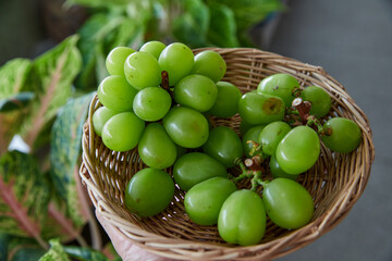Naklejka premium Bunch of fresh green grape in wicker basket