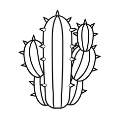 illustration of cactus