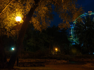 Big panoramic observation wheel highlighted by colorful lights rotating in a city park with yeallow autumn foliage and dark blue evening sky in Kyiv, Ukraine.