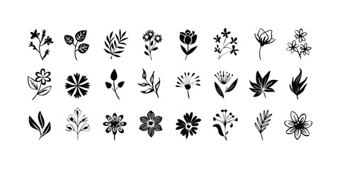 Collection of Hand Drawn Floral and Leaf Elements flower