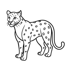 leopard vector illustration