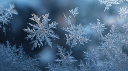 frozen snowflake pattern on glass window,