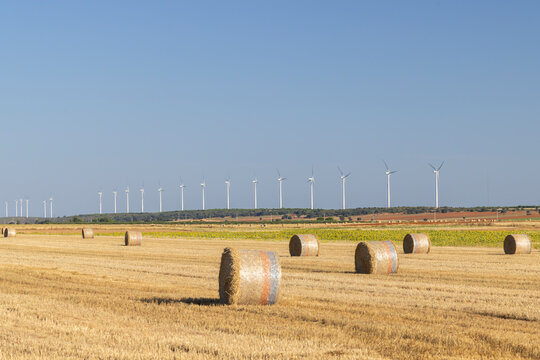 Wind energy turbines standing over golden stubble field - Powered by Adobe