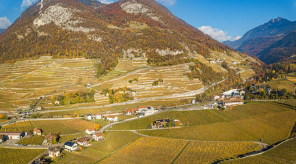 Aerial view of Aigle village with its large scale vineyards in autumn season, Vaud Canton,...