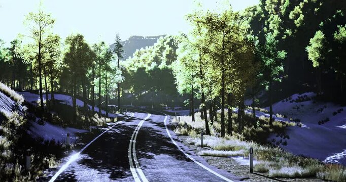A winding road curves through a vibrant landscape filled with lush green trees and patches of sunlight. A sense of serenity pervades this natural setting, inviting exploration.