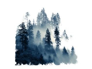 Misty evergreen forest silhouette trees pine, Isolated, Png Transparent Background