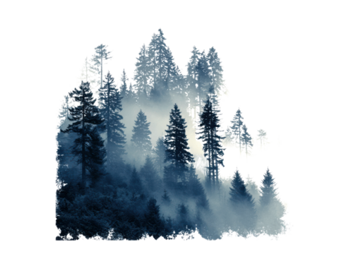 Misty evergreen forest silhouette trees pine, Isolated, Png Transparent Background