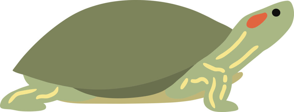 Simple Flat Design Box Turtle Side View Isolated Illustration