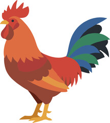 Flat Design Colorful Rooster Poultry Illustration Style Isolated Animal