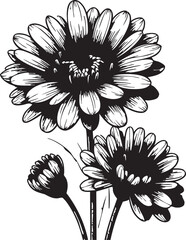Black and white gerbera daisy flower vector illustration eps silhouette