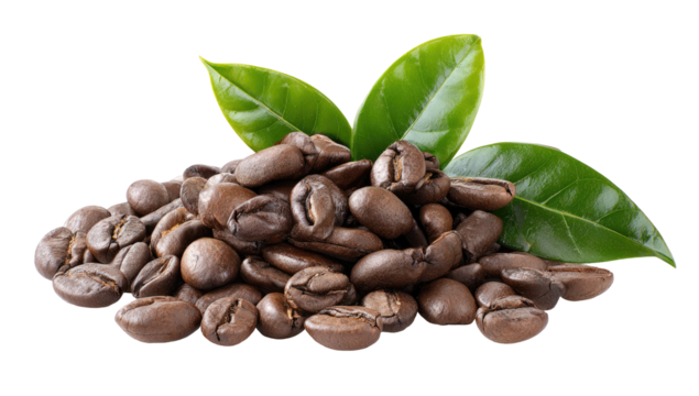 Rich, roasted coffee beans piled with fresh green leaves