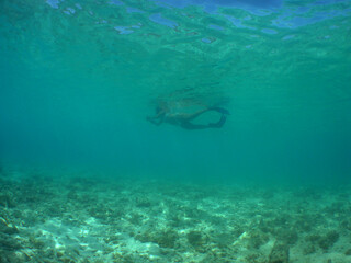 Woman Snorkeling in Curaçao Island